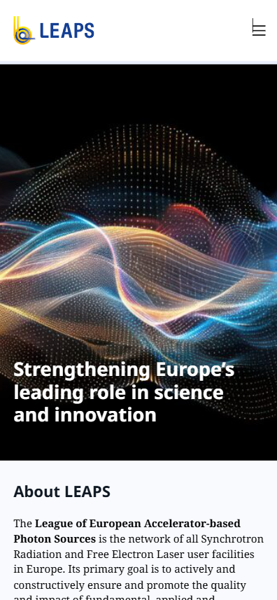 Screenshot Leaps Website