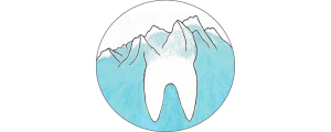 logo berghammer
