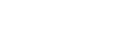 logo webwerkstatt stauss sw